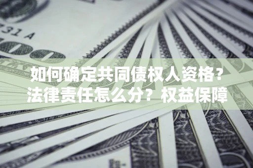 北京如何确定共同债权人资格？法律责任怎么分？权益保障技巧揭秘！