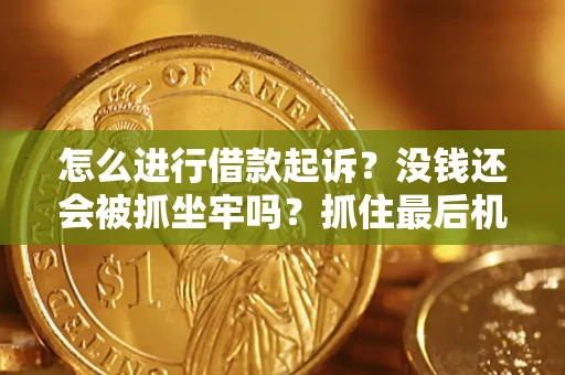 北京怎么进行借款起诉？没钱还会被抓坐牢吗？抓住最后机会！