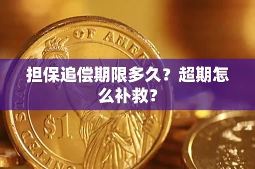 北京担保追偿期限多久？超期怎么补救？