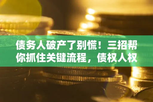 北京债务人破产了别慌！三招帮你抓住关键流程，债权人权益不再缩水