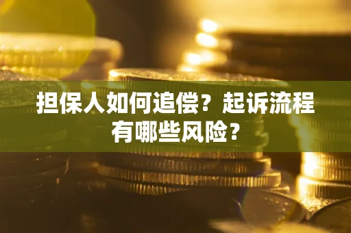 北京担保人如何追偿？起诉流程有哪些风险？