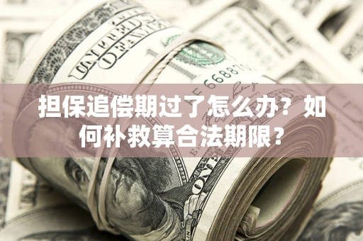 北京担保追偿期过了怎么办？如何补救算合法期限？