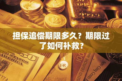 北京担保追偿期限多久？期限过了如何补救？